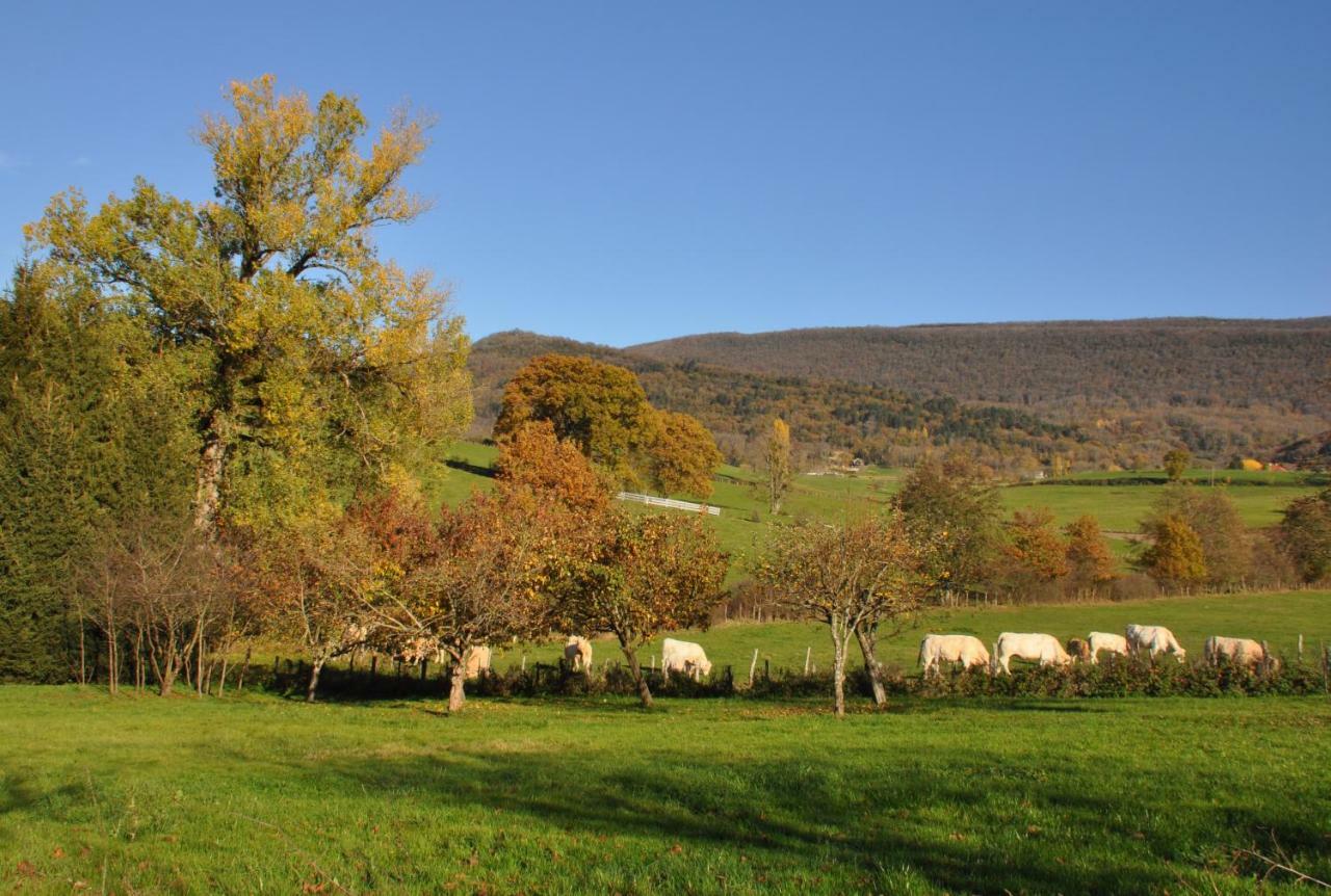 Terres De La Grange Panzió Cuisiat Kültér fotó